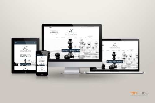 responsive website development showcase