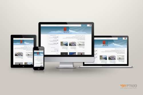 responsive website development showcase